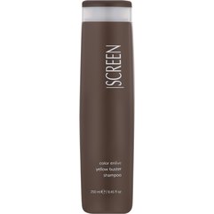 Шампунь з антижовтим ефектом Screen Color Enlive Yellow Buster Shampoo, 250 ml, фото 