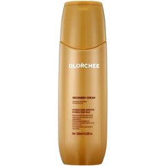 Экспресс-уход для восстановления волос Olorchee Recovery Cream One Minute Repair