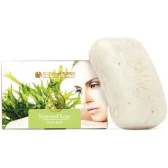Мило антицелюлітне Sea of Spa Anti Cellulite Dead Sea Seaweed Soap, 125 g, фото 