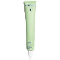 Точечное средство против несовершенств Caudalie Vinopure Salicylic Spot Solution, 15 ml