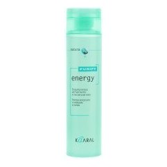 Kaaral Purify Energy Shampoo - Энергетический Шампунь с экстрактом мяты и ментола арт 1210, 1000 мл.