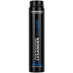 Шампунь для сухого і неслухняного волосся Placen Formula Lysander Expurgate Relax 24, 250 ml, фото 