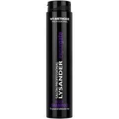 Шампунь проти жовтизни волосся Placen Formula Lysander Expurgate Silver, 250 ml, фото 
