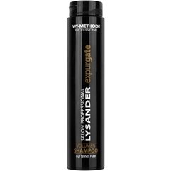 Шампунь для об'єму Placen Formula Lysander Expurgate Volumen, 250 ml, фото 