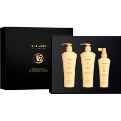 Набор T-Lab Professional Root Power Hair and Scalp Ritual
