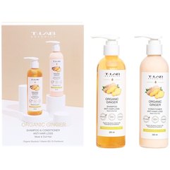 Набор для ослабленных волос T-Lab Professional Organics Organic Ginger Shampoo and Mask set