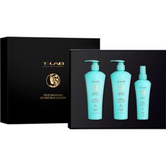 Набір T-Lab Professional Phyto Balance Hair and Scalp Ritual, фото 
