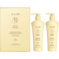 Набір T-Lab Professional Vitamin Booster Shampoo and Treatment Set, фото 