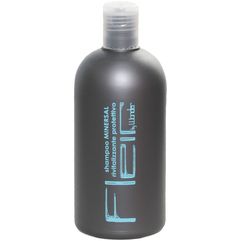 Шампунь з мінералами для сухого волосся Gestil Wonder Shampoo Minersal, 500 ml, фото 