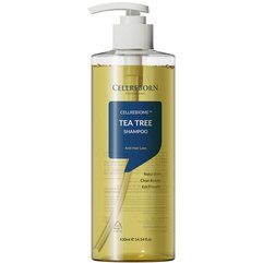 Шампунь проти випадіння волосся з чайним деревом Cellreborn Cellrebiome Tea Tree Shampoo, 430 ml, фото 