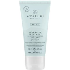 Маска для інтенсивного відновлення волосся з кератином Paul Mitchell Awapuhi Wild Ginger Keratin Intensive Treatment, фото 