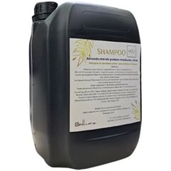 Мигдаль та протеїни шовку Moli Cosmetics Almont & Silk Protein Shampoo, 5000ml, фото 