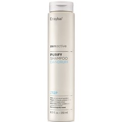 Шампунь проти лупи Erayba Zen Active Z12p Purify Shampoo, фото 