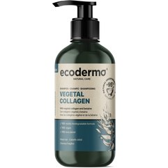 Шампунь з рослинним колагеном і біотином Ecoderma Vegetal Collagen Shampoo, 500 ml, фото 