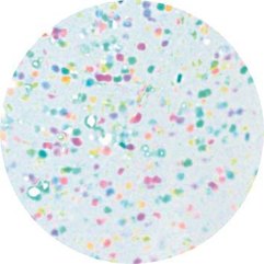 {[RU]:EZ Flow Boogie Nights®