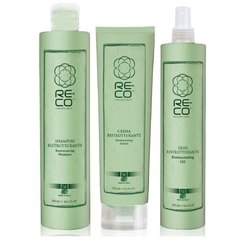 Green Light Re-Co Hair Wellness - Набір для реконструкції волосся, фото 