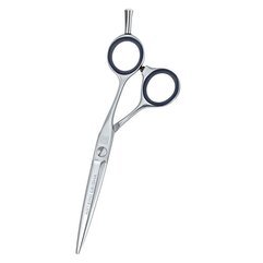 Ножиці перукарські прямі Artero Geisha 6.0" Т65260, фото 