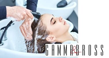 Коллекция моек от Gamma&Bross