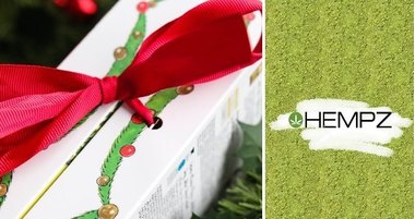 Новогодние подарки от косметики Hempz