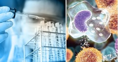 Все, что необходимо знать о ферментах