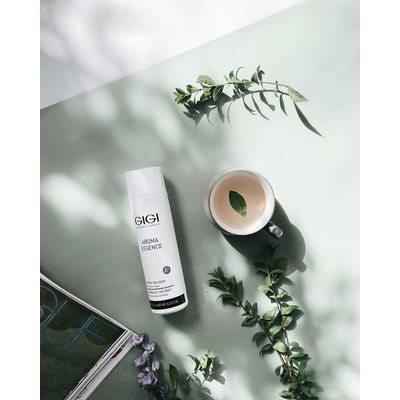 Мыло с зеленым чаем для всех типов кожи Gigi Aroma Essence Green Tea Soap For All Skin Types, 250 ml, изображение 6