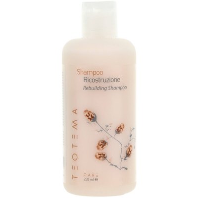 Шампунь відновлюючий Teotema Professional, фото 