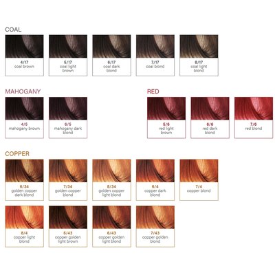 Веганська фарба для волосся без аміаку BBcos Earthia Color, 100 ml, фото _ab__is.image_number.default