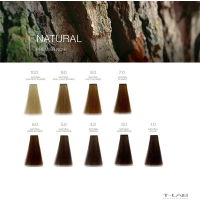Крем-фарба для волосся T-Lab Professional Premier Noir, 100 ml, фото _ab__is.image_number.default