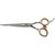Ножницы прямые профессиональные SPL 91060-60