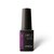 Гель лак для нігтів Kinetics SolarGel Nail Polish 350 - Purple Haze, фото 
