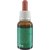 Масло эфирное кипарис Kleraderm Aromacosmesi Cypress, 20 ml, изображение 2
