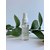 Успокаивающий мист Pharmely Safe-Treatment Solution Hands-Free Calming Mist, 30 ml, изображение 2