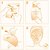 Маска проти втоми з вітаміном С Germaine de Capuccini Timexpert Radiance C+ Glow Force Mask, 1 pcs, фото _ab__is.image_number.default