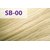 Стойкая крем-краска для волос jNowa Professional Siena Chromatic Save Special Blond, 90ml, Палитра: SB/00