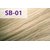 Стойкая крем-краска для волос jNowa Professional Siena Chromatic Save Special Blond, 90ml, Палитра: SB/01