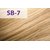 Стойкая крем-краска для волос jNowa Professional Siena Chromatic Save Special Blond, 90ml, Палитра: SB/7