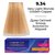 Устойчивая крем-краска для волос Master Lux Professional Permanent Hair Color Cream, 60ml, Палитра: 9.34