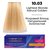 Устойчивая крем-краска для волос Master Lux Professional Permanent Hair Color Cream, 60ml, Палитра: 10.03