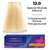Устойчивая крем-краска для волос Master Lux Professional Permanent Hair Color Cream, 60ml, Палитра: 12.0