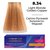 Устойчивая крем-краска для волос Master Lux Professional Permanent Hair Color Cream, 60ml, Палитра: 8.34