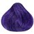 Крем-краска для волос Shot On Hair Power Color, 100 ml, Палитра: Power Violet