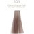 Крем-фарба для волосся T-Lab Professional Premier Noir, 100 ml, Палітра: 10.1 lightest ash blonde, фото 