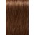 Фарба для волосся Indola Permanent Caring Color, 60 ml, Палітра: 6.35 Русяве золотисте червоне дерево , фото 