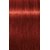 Фарба для волосся Indola Permanent Caring Color, 60 ml, Палітра: 6.66x Русявий екстра червоний , фото 