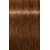 Фарба для волосся Indola Permanent Caring Color, 60 ml, Палітра: 6.8+ Русявий шоколадний інтенсівний , фото 