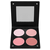 Atelier Palette Blush Powder 3D Палитра компактных теней-румян, Тон: Розовая (BL3DR)