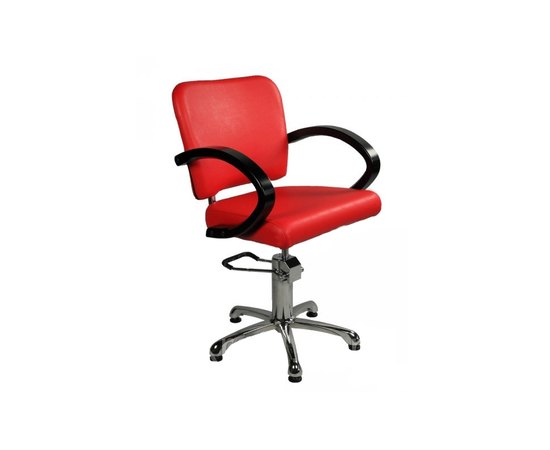 Парикмахерское кресло Styleplus ZD-300, изображение 3