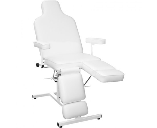 Biomak FR102 BIS Крісло педикюрне, фото 