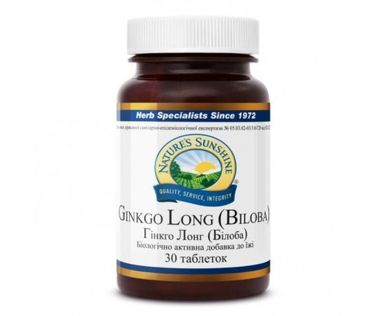 NSP Ginkgo Long (Biloba) Гінкго Лонг (білоба), 30 таблеток по 700 мг, фото 