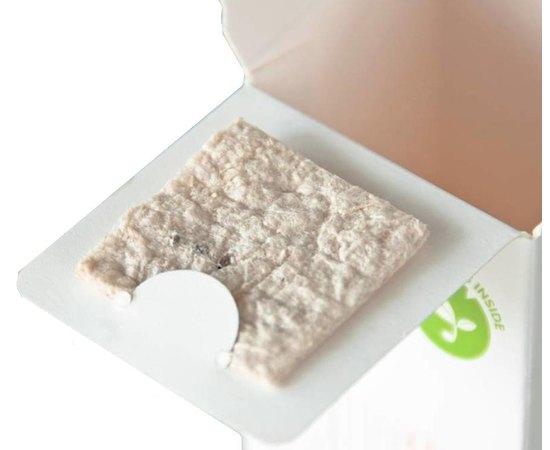 Набор для поврежденных волос Подсолнух O'right Sunflower Seed Essence Repair Set, изображение 2